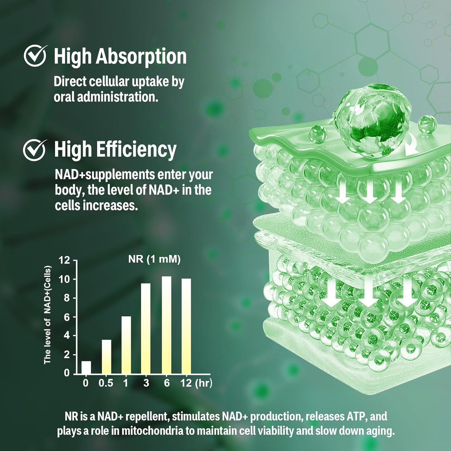 Vasozi NAD+ Nicotinamide Riboside