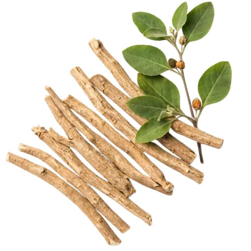 Resveratrol