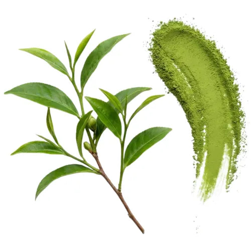 Quercetin